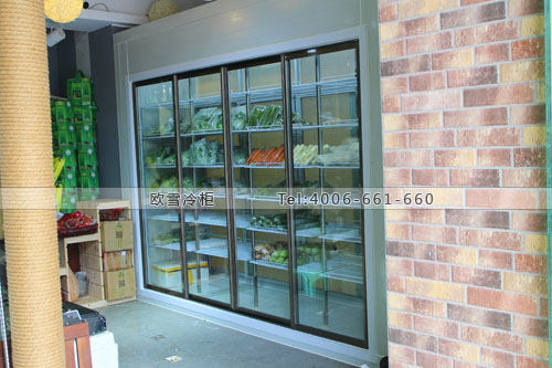 透明玻璃蔬菜保鮮冷庫.jpg 透明玻璃蔬菜保鮮冷庫.jpg