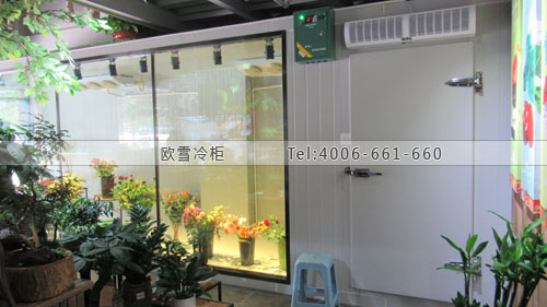 透明玻璃鮮花保鮮冷庫.jpg 透明玻璃鮮花保鮮冷庫.jpg