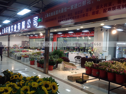 鮮花冷庫設(shè)計安裝.jpg 鮮花冷庫設(shè)計安裝.jpg