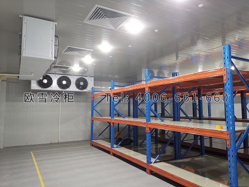 生鮮電商物流倉(cāng)儲(chǔ)冷庫(kù).jpg