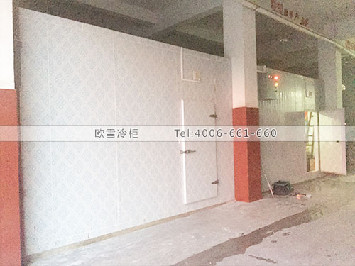 低溫速速凍庫(kù)安裝.jpg