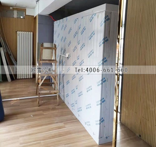 小型冷藏冷庫(kù)安裝.jpg
