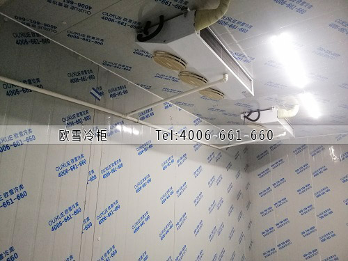 鮮花保鮮冷庫建設(shè)多少錢一平米.jpg