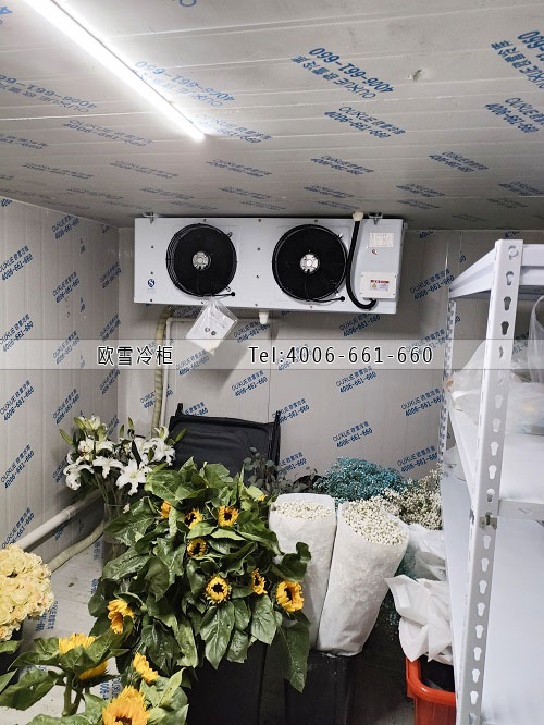 鮮花保鮮冷庫(kù)建設(shè)多少錢一平米.jpg