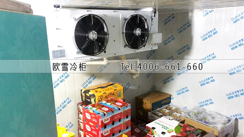 水果保鮮冷庫(kù).jpg