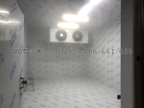 小型速凍庫(kù)安裝.jpg