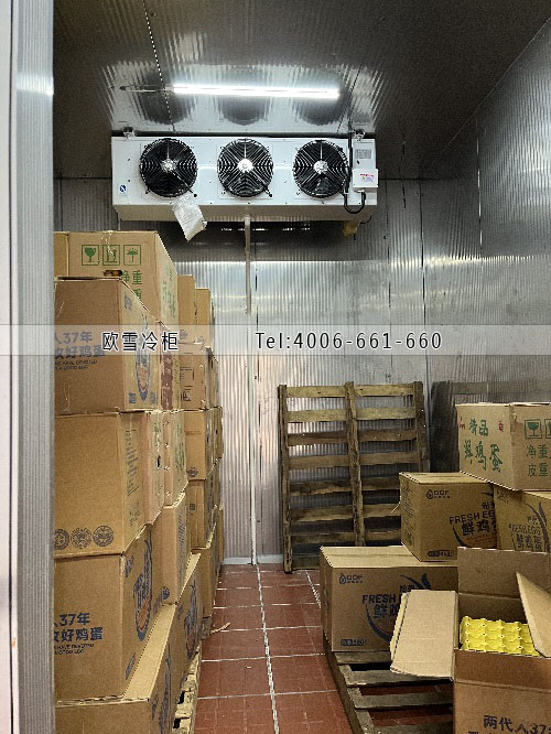 雞蛋保鮮冷庫(kù)安裝.jpg