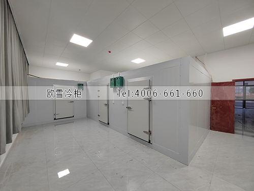 醫(yī)藥冷庫(kù)建造.jpg