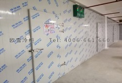 冷庫安裝-湖南雙溫藥品冷藏冷庫工程設(shè)計與安裝