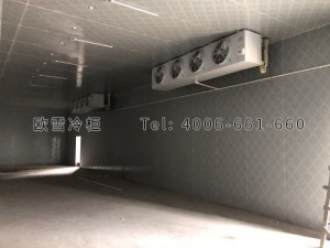 安?？h城關(guān)生豬定點屠宰廠肉類冷藏冷凍冷庫安裝