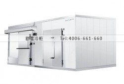 冷庫(kù)電器系統(tǒng)的日常維護(hù)和保養(yǎng)