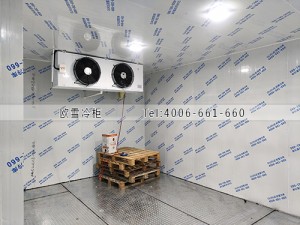 深圳龍崗區(qū)食品冷凍冷庫安裝案例