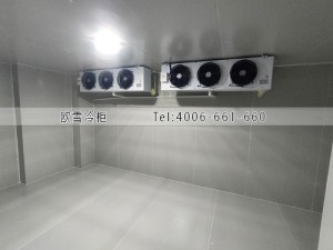 福建醫(yī)院兩個小型疫苗冷藏冷庫安裝案例