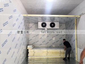湖南省株洲市68立方的冷藏冷庫工程安裝